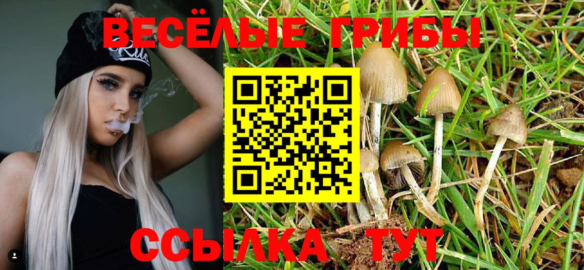 Галлюциногенные грибы Psilocybine cubensis Рассказово